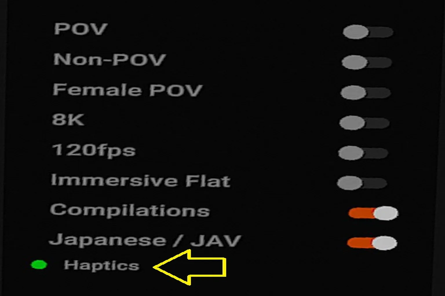 DeoVR 影片篩選頁面顯示 Haptics 綠點,代表影片支援互動腳本。