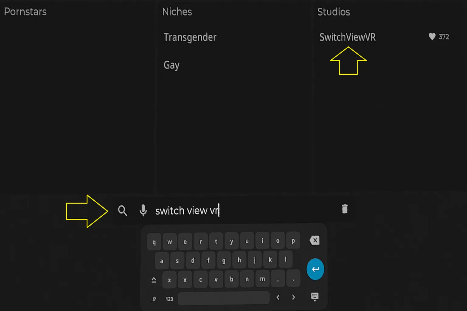 SLR 文字搜尋功能示範,輸入片商名稱 Switchview VR 的搜尋畫面,顯示鍵盤與搜尋按鈕。
